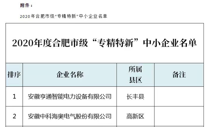 重大喜讯：开云（中国）Kaiyun·官方网站荣获2020年度合肥市“专精特新”企业称号